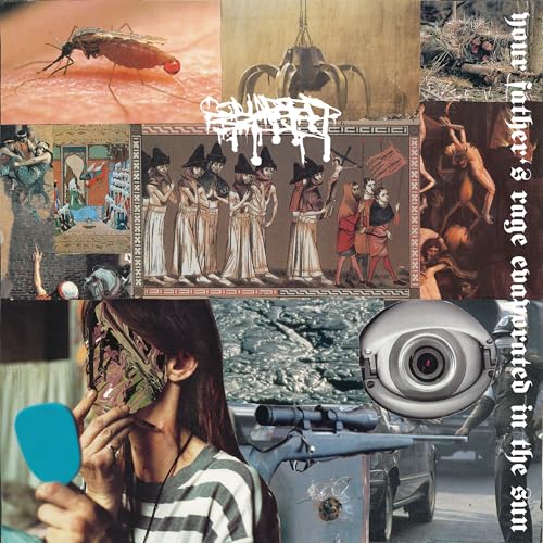 Your Father'S Rage Evaporated In The Sun Vinyl Record