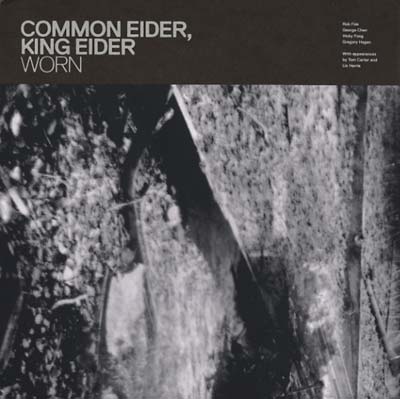 COMMON EIDER, KING EIDER - Worn Vinyl Record