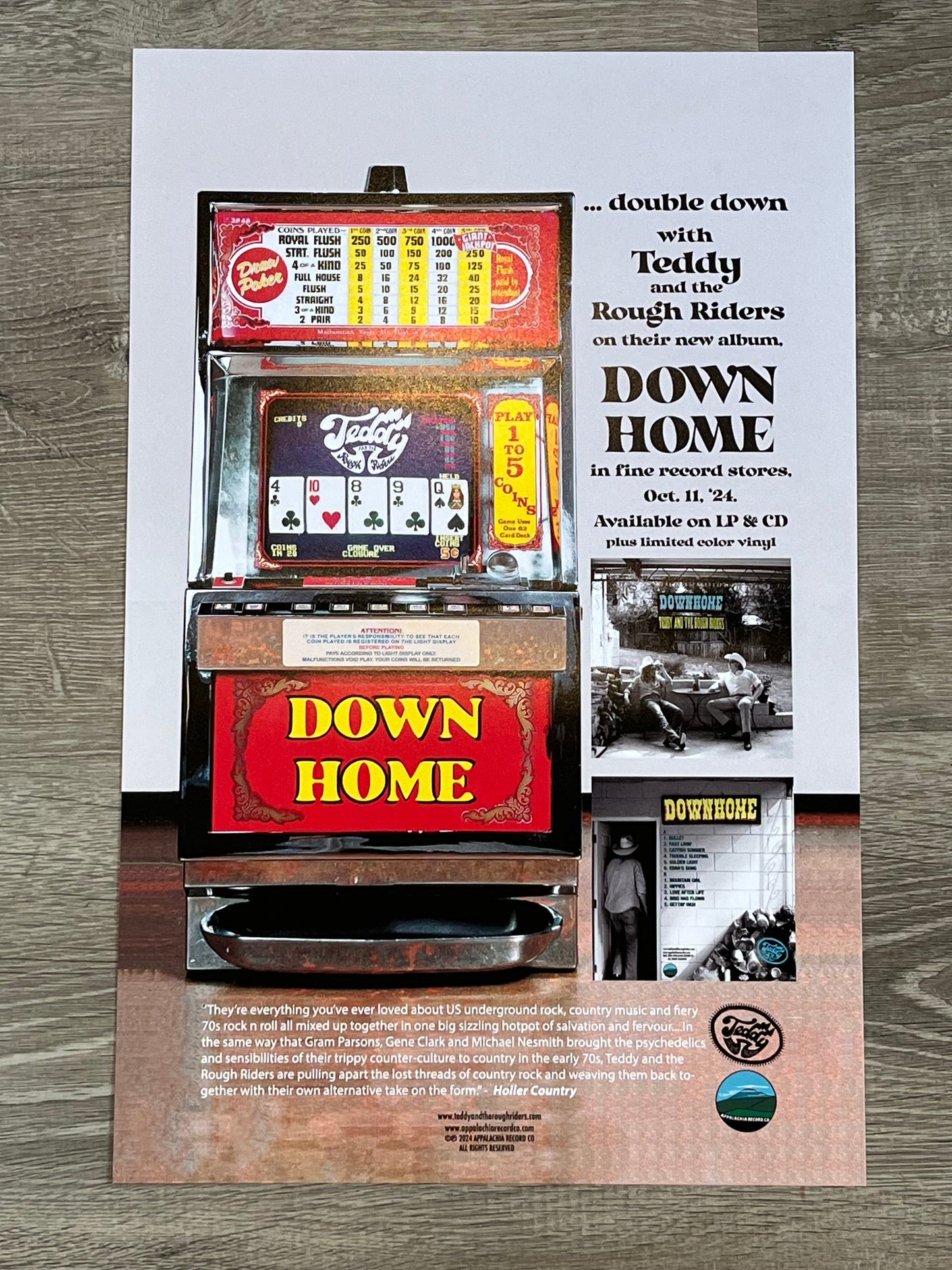 Down Home *POSTER 16X12* Vinyl Record