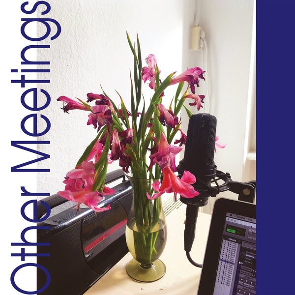 Other Meetings Vinyl Record