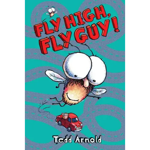 Fly High, Fly Guy! (Fly Guy #5): Volume 5