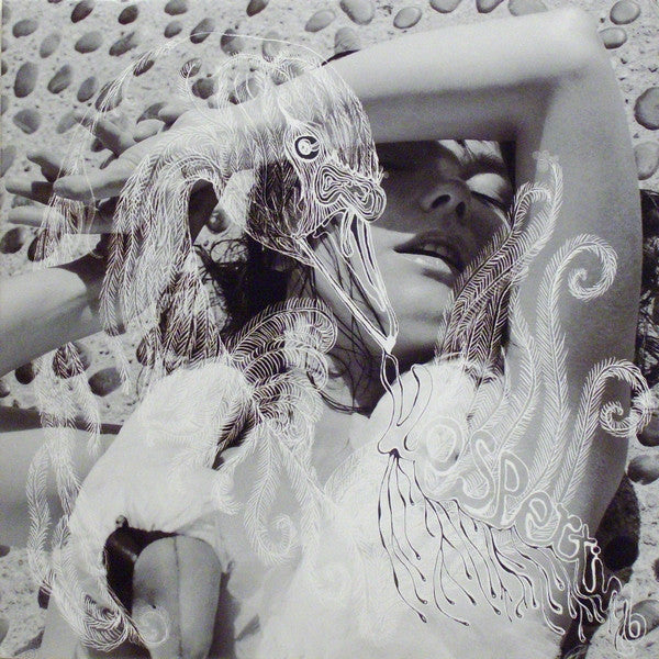 Vespertine Vinyl Record