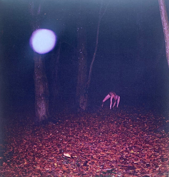 Buzzard Buzzard Buzzard - Skinwalker Music CD