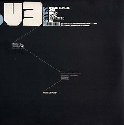 D1 - D1 V3 Vinyl Record