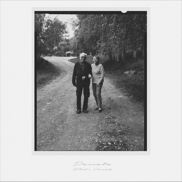 What's Damata Vinyl Record