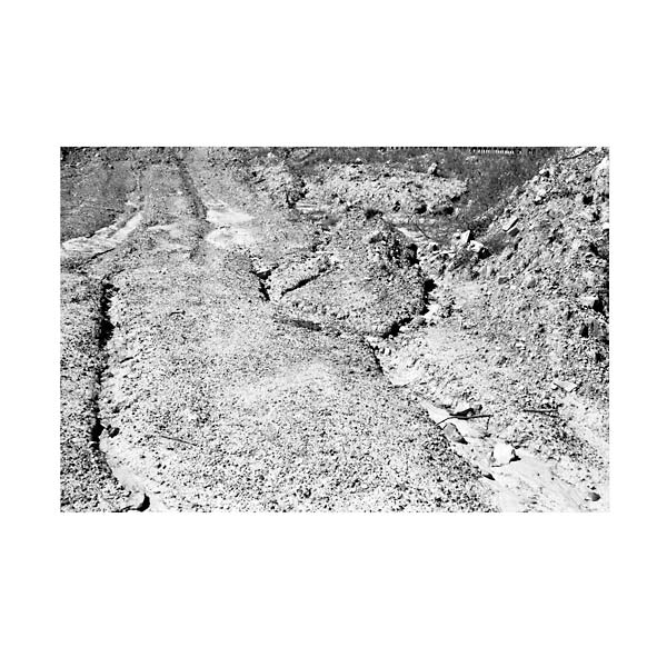 Daniel Bachman - Grey-Black-Green Vinyl Record