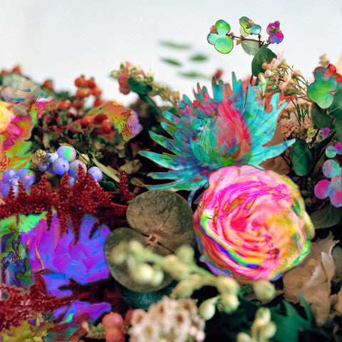 News From Nowhere Vinyl Record