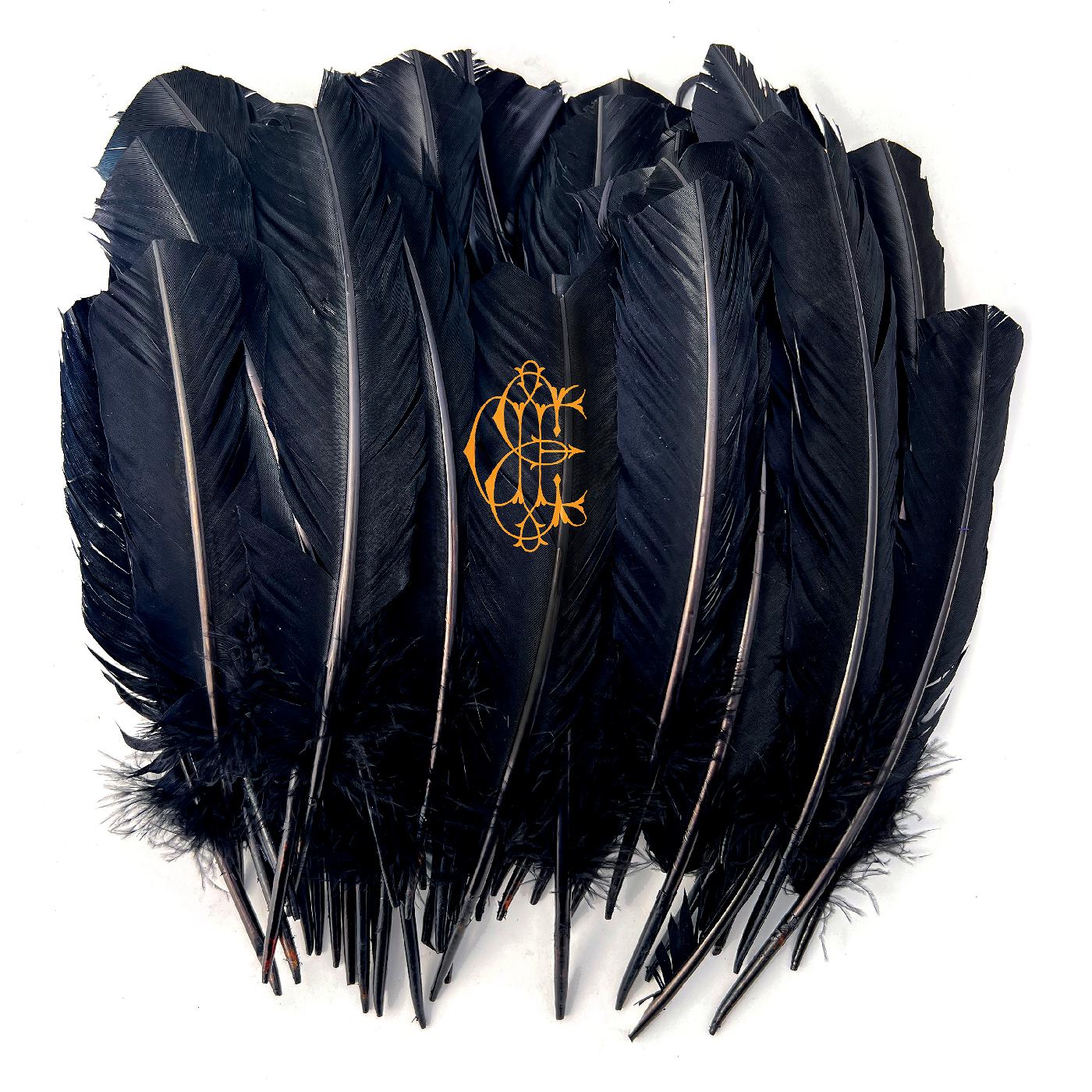 Hyacinth Vinyl Record