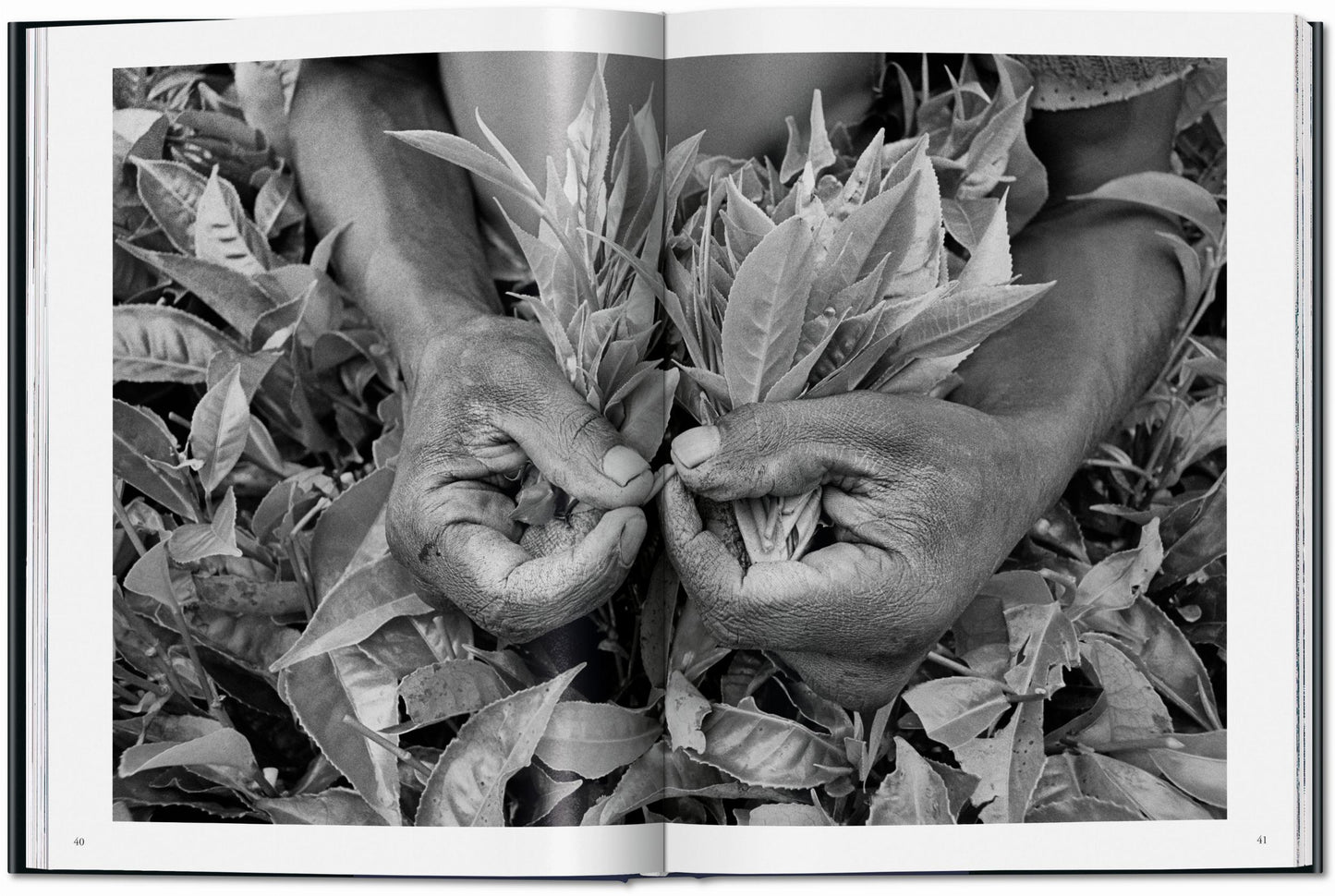 Sebastião Salgado. Workers. An Archaeology of the Industrial Age (English) Book
