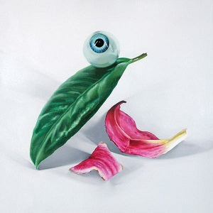Petals Have Fallen Music CD
