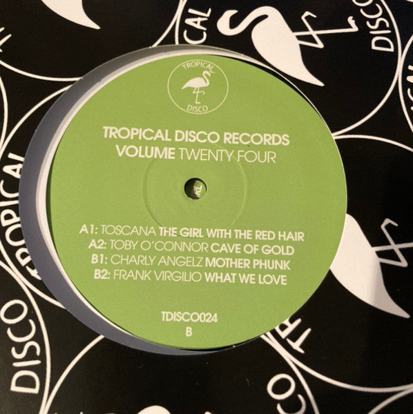 Tropical Disco Records Volume Twenty Four Vinyl Record