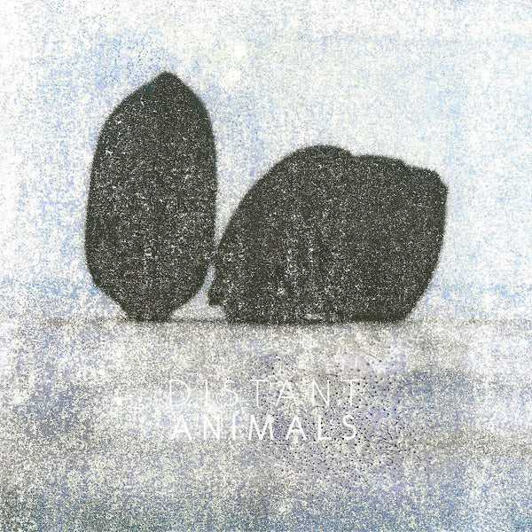 DISTANT ANIMALS - Lines Vinyl Record