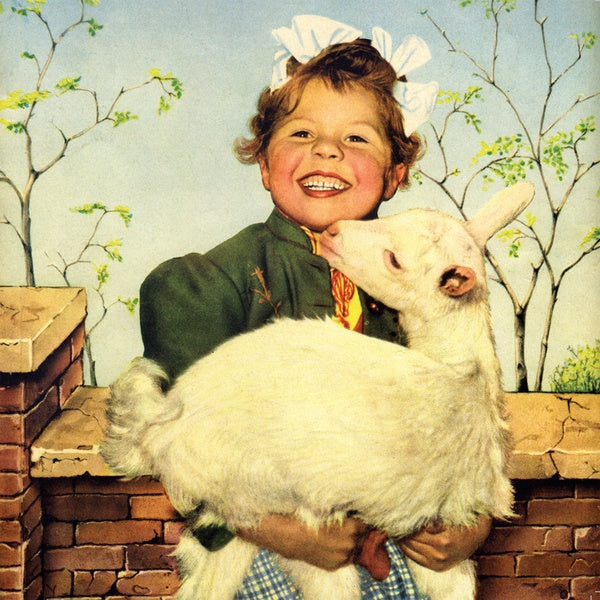 DITTERICH VON EULER-DONNERSPERG - Weisheit aus des Kindes Mund tut uns stets die Wahrheit kund Vinyl Record