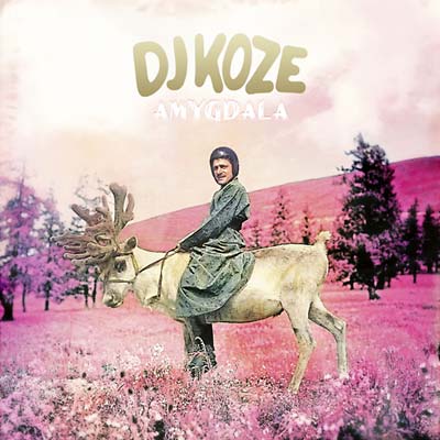 DJ Koze - Amygdala Vinyl Record