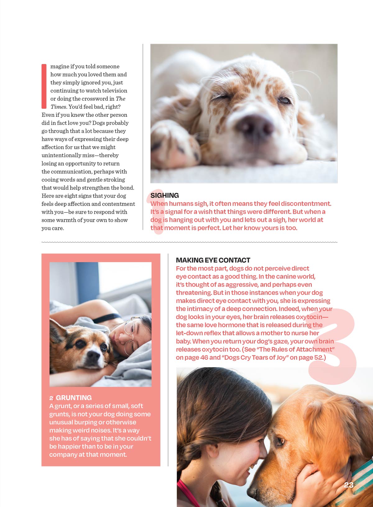 Inside Your Dog's Mind - The Happiness Issue: The Art Of Adventure & Play, Tips & Techniques To Fill Your Furry Friend's Lives With Joy, Playtime, Proper Nutrition, Return Gestures Of Love & More!