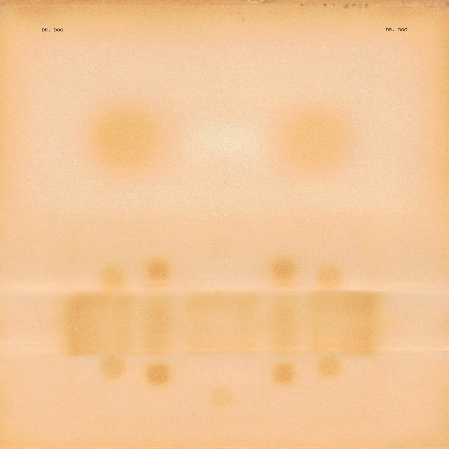 Dr. Dog - Dr. Dog Vinyl Record