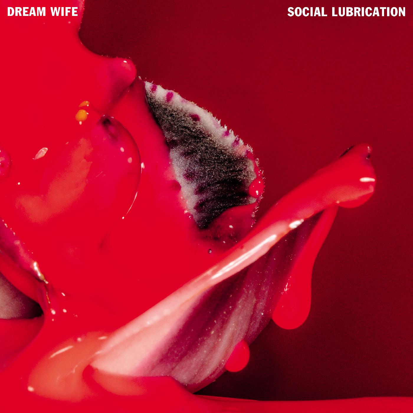 Social Lubrication (DEEP RED VINYL) Vinyl Record