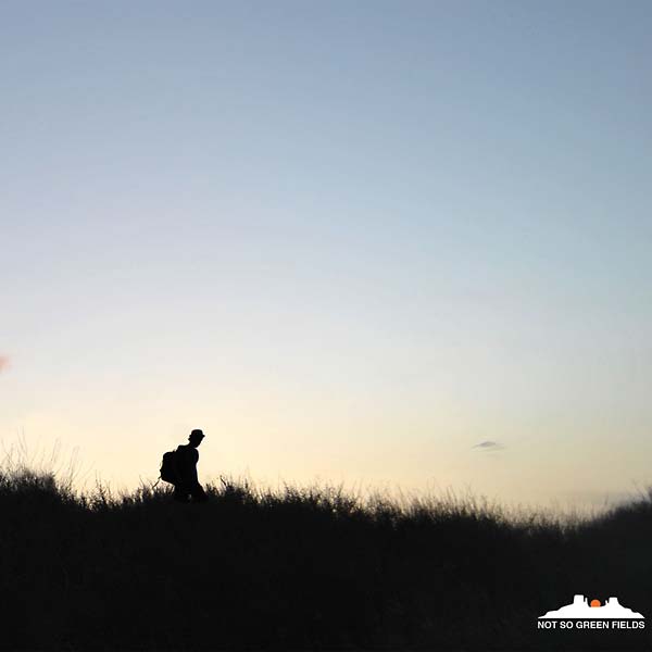 Not So Green Fields Music CD