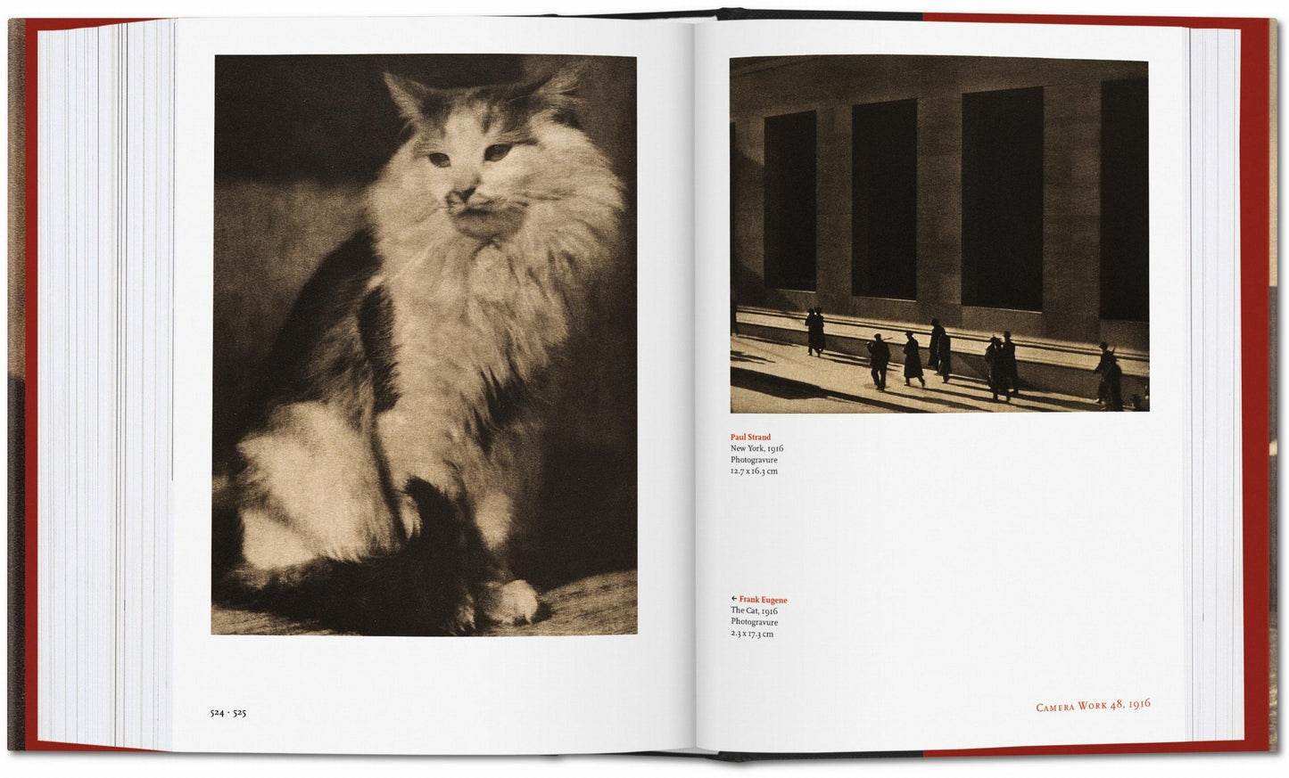 Alfred Stieglitz. Camera Work (German, French, English) Book