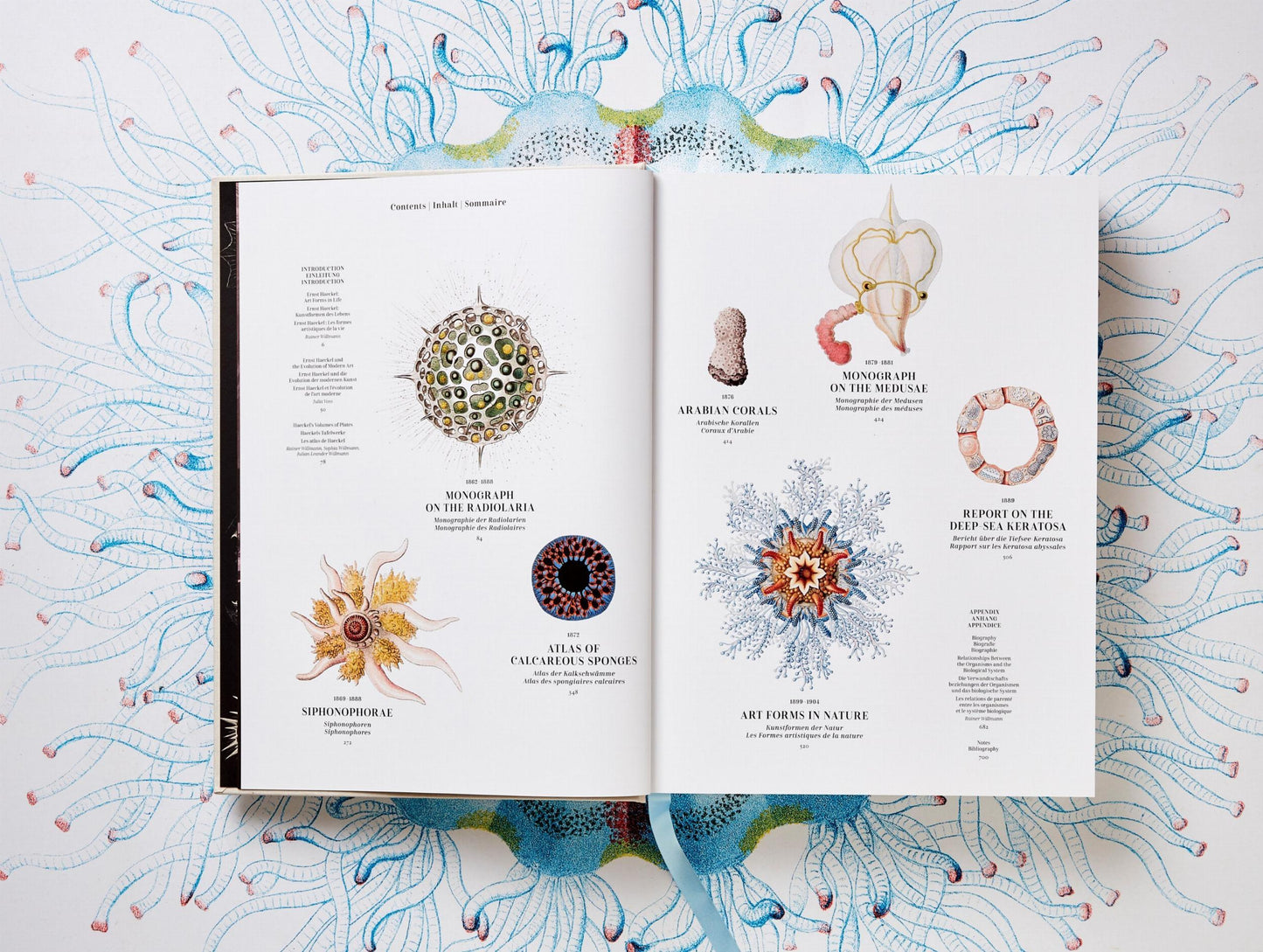 The Art and Science of Ernst Haeckel (German, French, English) Book