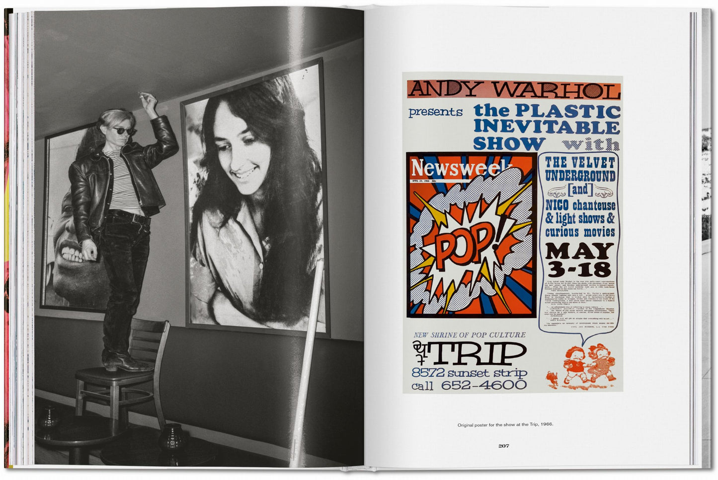 Steve Schapiro. Andy Warhol and Friends (English) Book