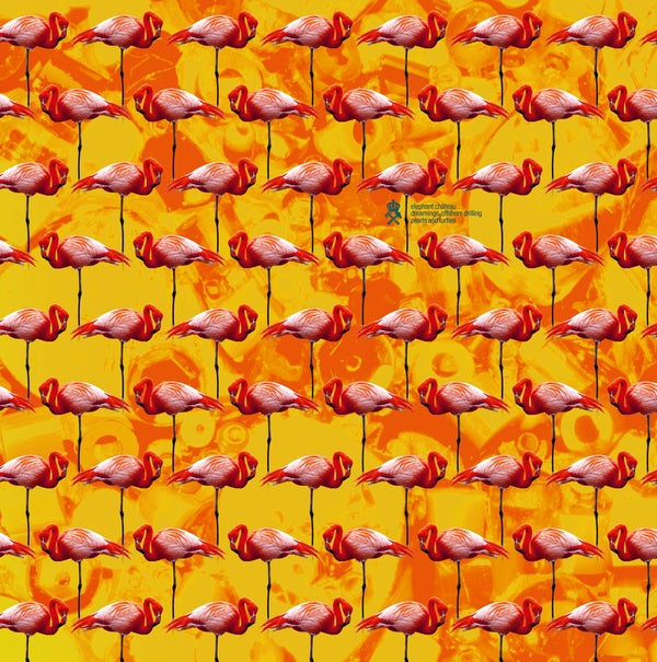 Dreamings & Offshore Drilling - Pearls And Turtles Music CD