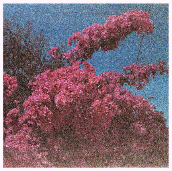 ELISABETH KLINCK - Picture a Frame Vinyl Record