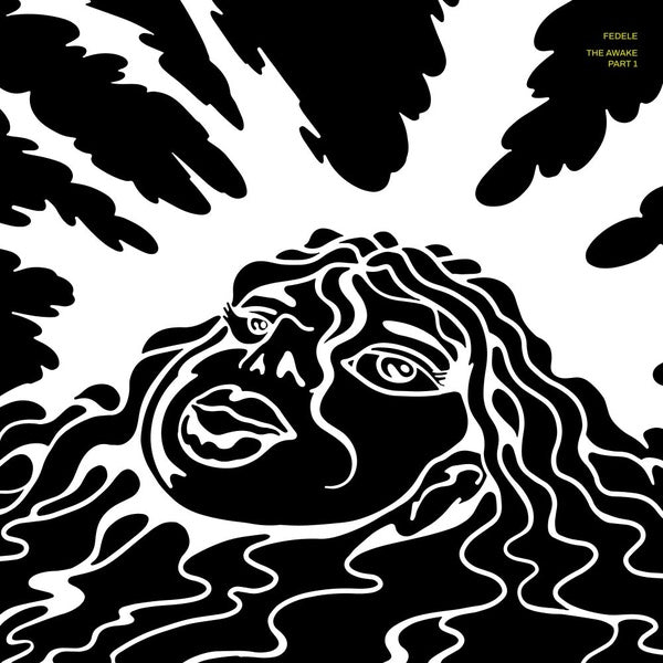 The Awake, Pt. 1 Vinyl Record