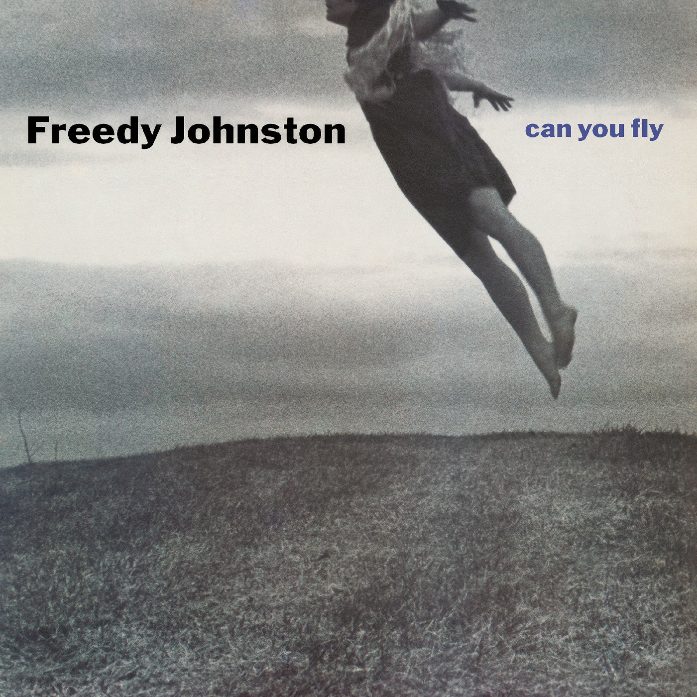 Can You Fly (Clear Vinyl) Vinyl Record