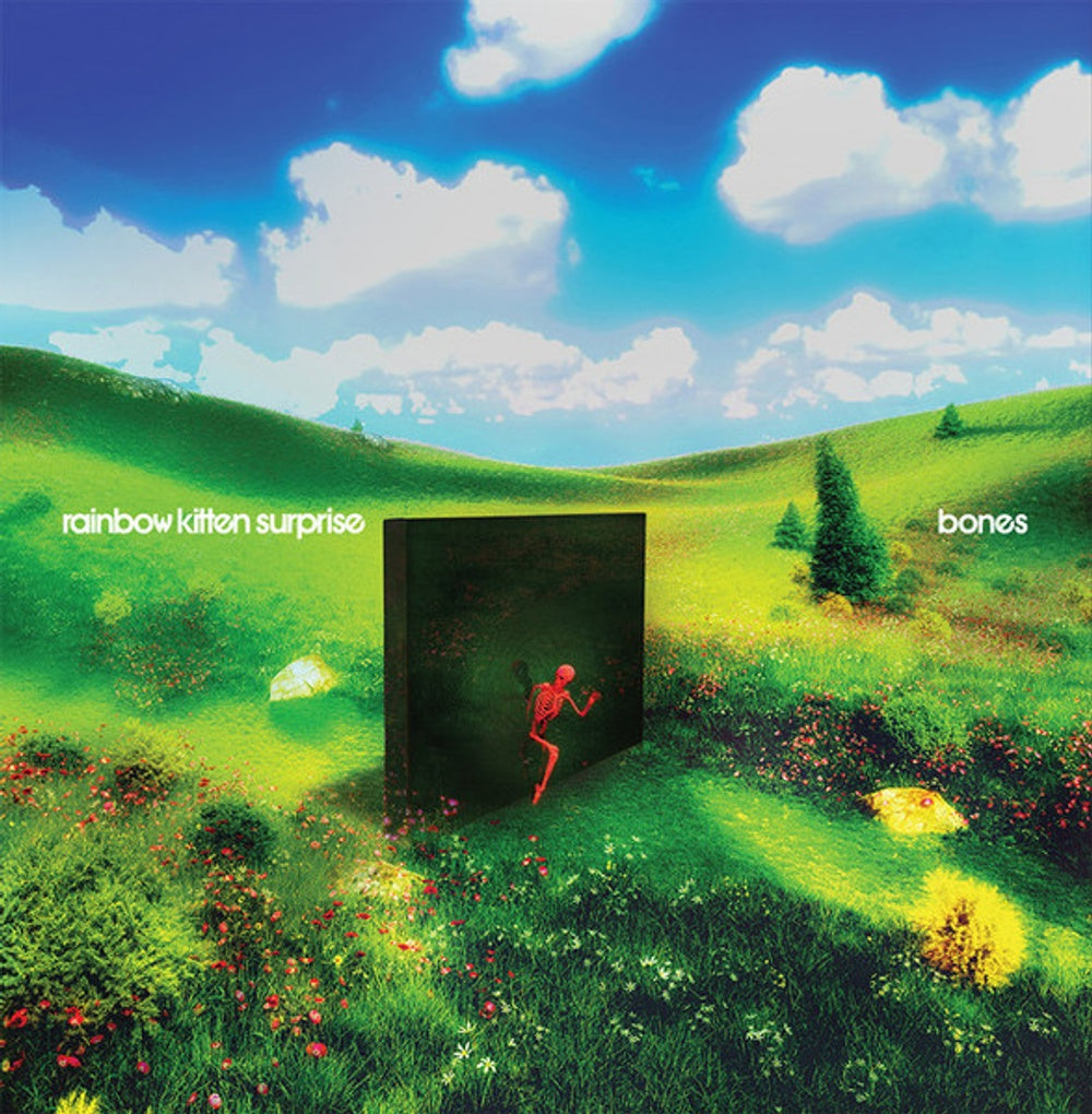 Rainbow Kitten Surprise – bones Music CD