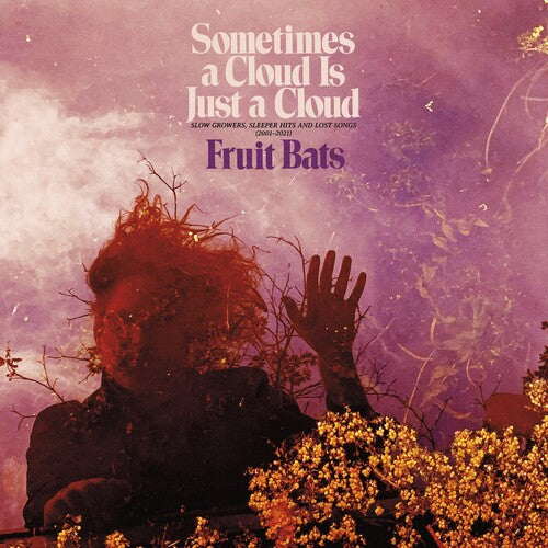 Sometimes a Cloud Is Just a Cloud: Slow Growers, Sleeper Hits and Lost Songs (2001–2021) (Colored Vinyl, Pink, Violet, Gatefold LP Jacket, Digital Download Card) (2 Lp's) Vinyl Record