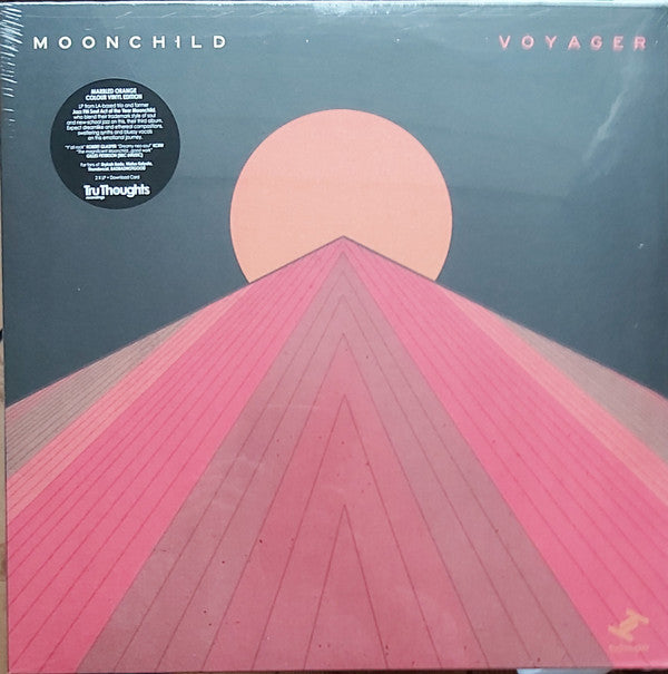 Voyager Vinyl Record