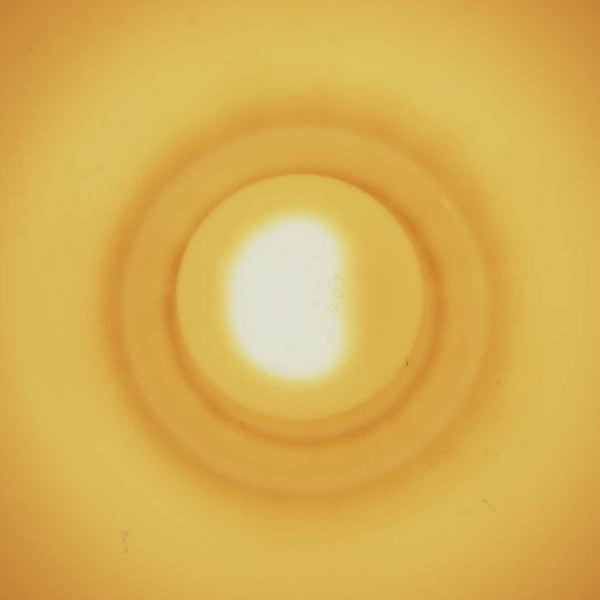 Monstersol Vinyl Record