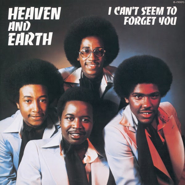 I Can'T Seem To Forget You Vinyl Record