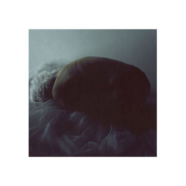 Magnetic Field Vinyl Record