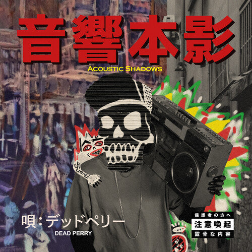 Acoustic Shadows Vinyl Record