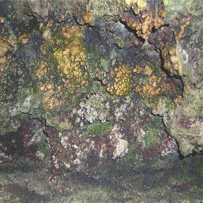 HIVE MIND - Elemental Disgrace Vinyl Record