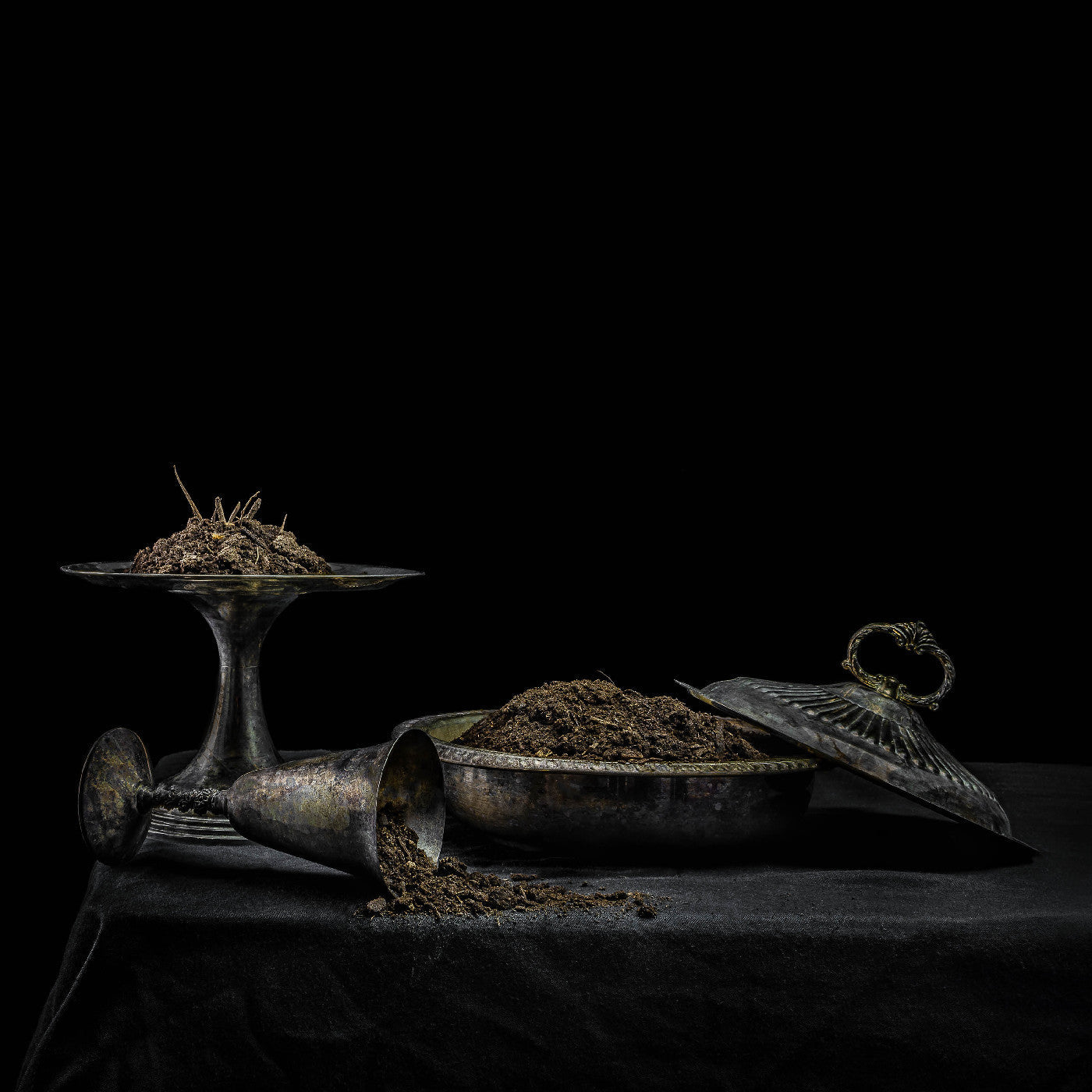 All We Have Is Never (Purple Vinyl) Vinyl Record