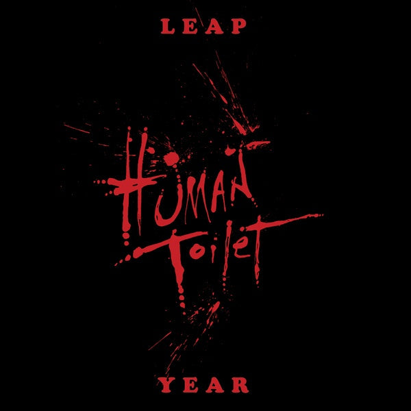 Leap Year Vinyl Record