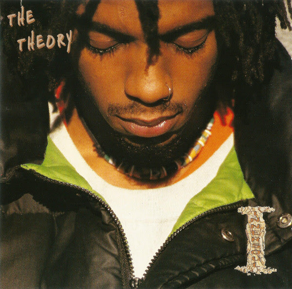 The Theory Vinyl Record