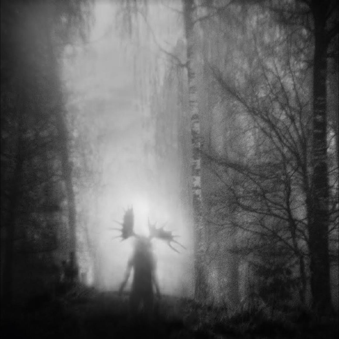 Iterum Nata - From the Infinite Light Vinyl Record