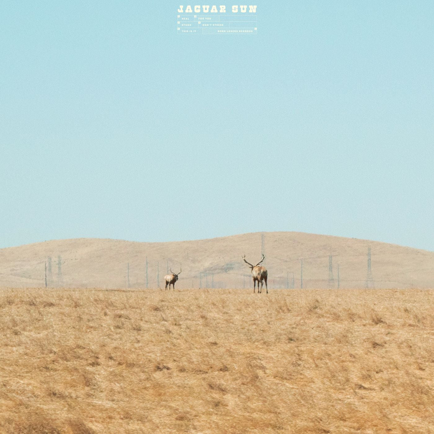 For You (Blue And Black Swirl Vinyl) Vinyl Record