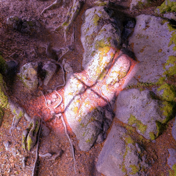 Lake From The Louvers Vinyl Record