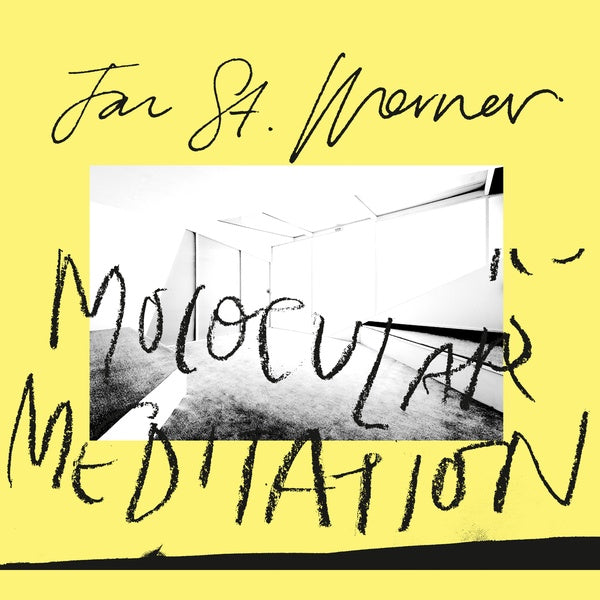 Jan St. Werner - Molocular Meditation Vinyl Record