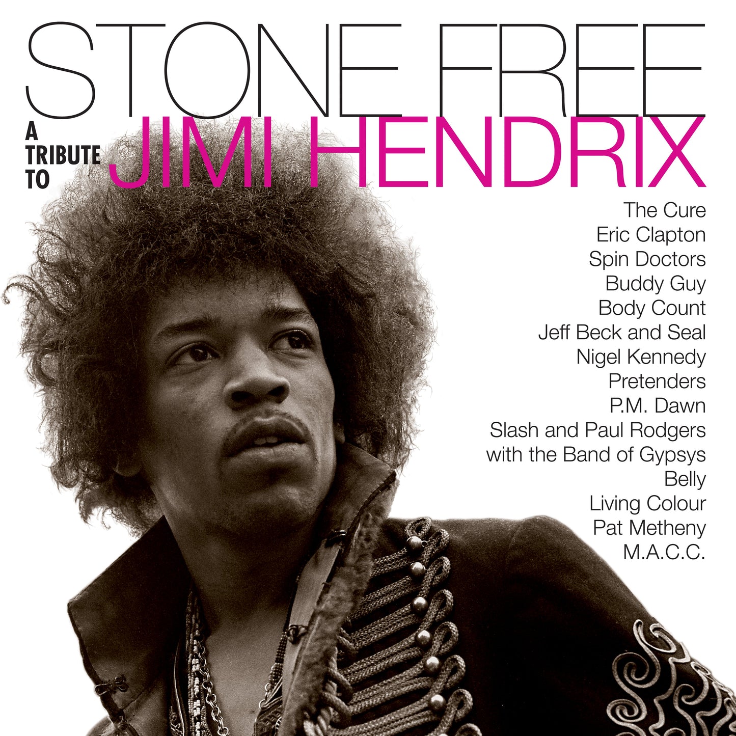 Stone Free: Jimi Hendrix Tribute ( ROCKTOBER 2020 BRICK N MORTAR EXCLUSIVE) Vinyl Record