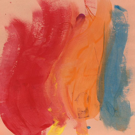 Paradise Bird Vinyl Record