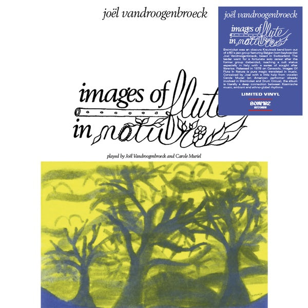 Joel Vandroogenbroeck - Images of Flute in Nature Vinyl Record