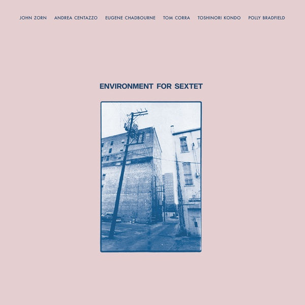 Environment for Sextet Vinyl Record