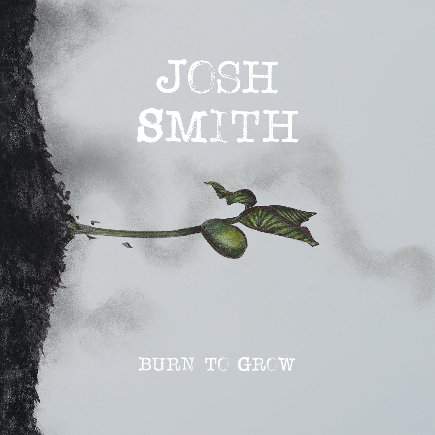 Burn To Grow Music CD