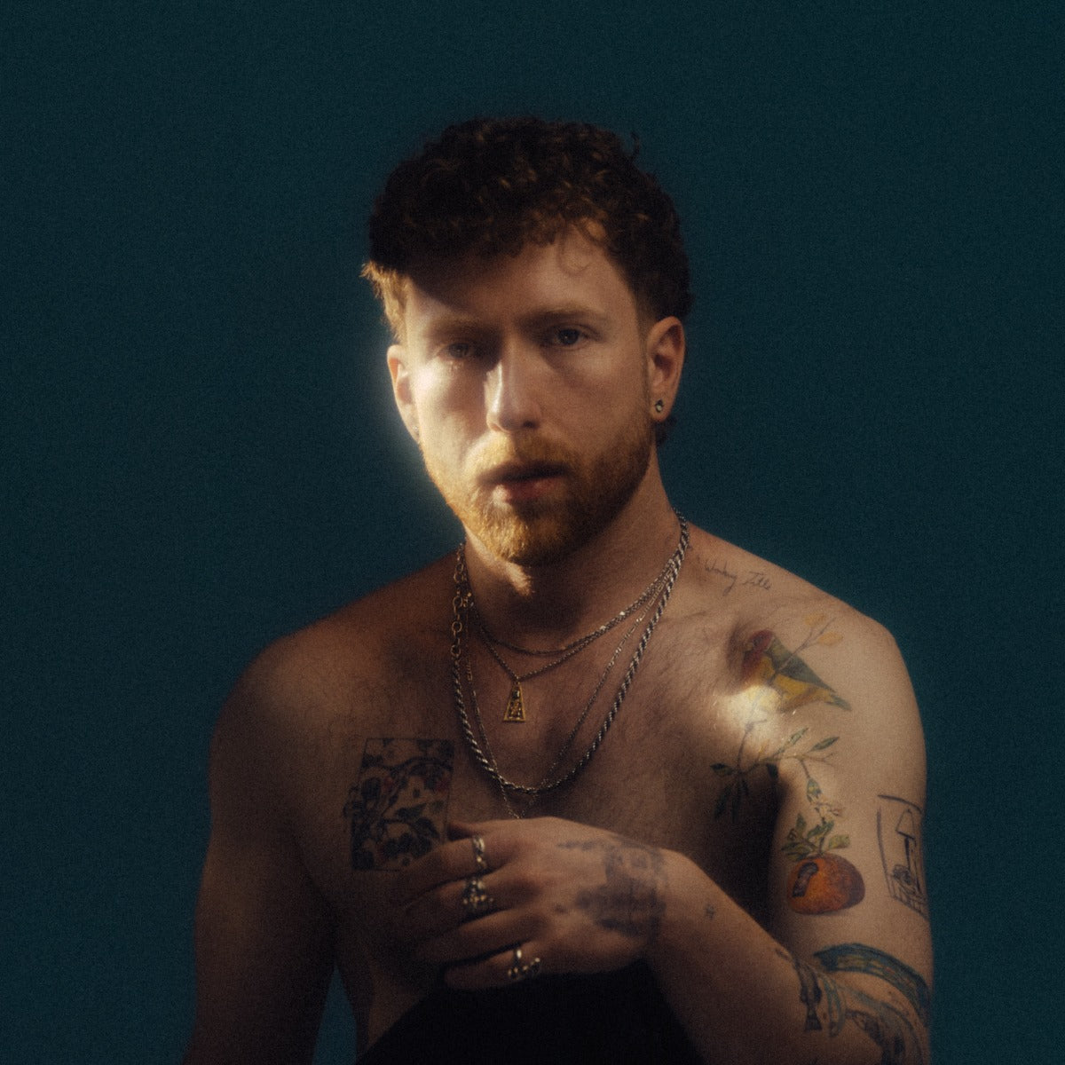 Articulate Excuses + Make Yourself At Home Music CD